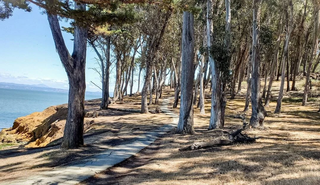 Mural Planning for Coyote Point park