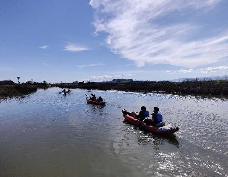 Alviso Env Impact Meeting 2/25